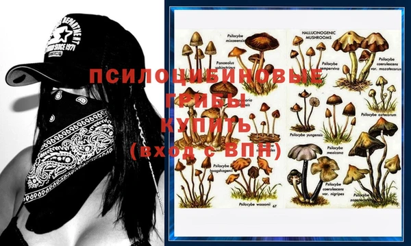 mdma Богородск