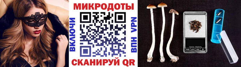 Псилоцибиновые грибы мицелий  Коммунар 